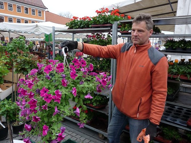 Blumige Fülle (Foto: Karl-Heinz Herrmann) Blumige Fülle (Foto: Karl-Heinz Herrmann)