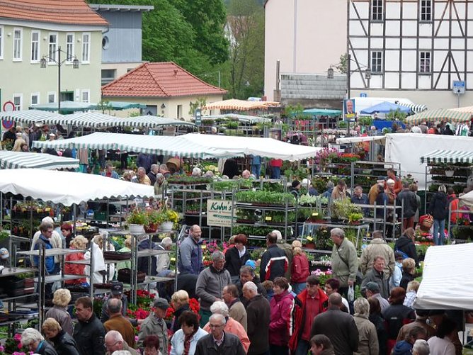 Blumige Fülle (Foto: Karl-Heinz Herrmann) Blumige Fülle (Foto: Karl-Heinz Herrmann)
