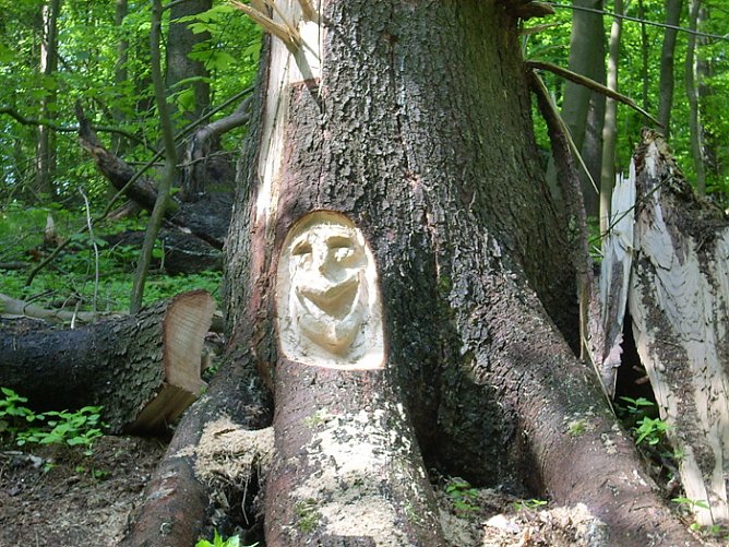 Mal kurz spazieren? (Foto: Karl-Heinz Herrmann)