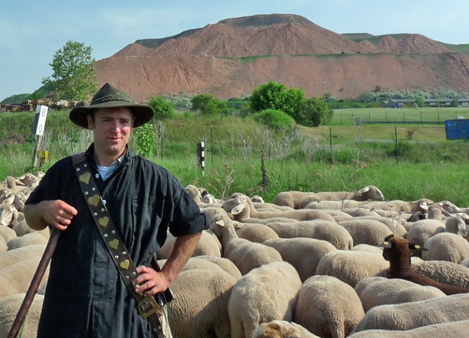 Neuer Schäfer (Foto: Karl-Heinz Herrmann) Neuer Schäfer (Foto: Karl-Heinz Herrmann)
