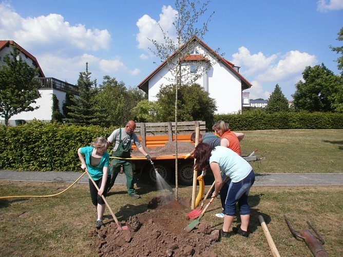 Der zweite Baum (Foto: Jugendweiheverein Bad Frankenhausen) Der zweite Baum (Foto: Jugendweiheverein Bad Frankenhausen)