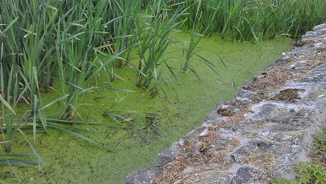 Wer ist verantwortlich? (Foto: Julia Köhler) Wer ist verantwortlich? (Foto: Julia Köhler)