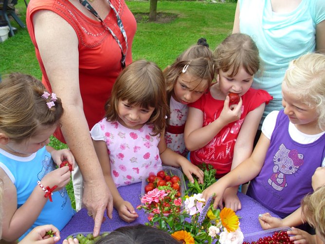 Kinder naschen frische, süße Früchte (Foto: Thomas Leipold) Kinder naschen frische, süße Früchte (Foto: Thomas Leipold)