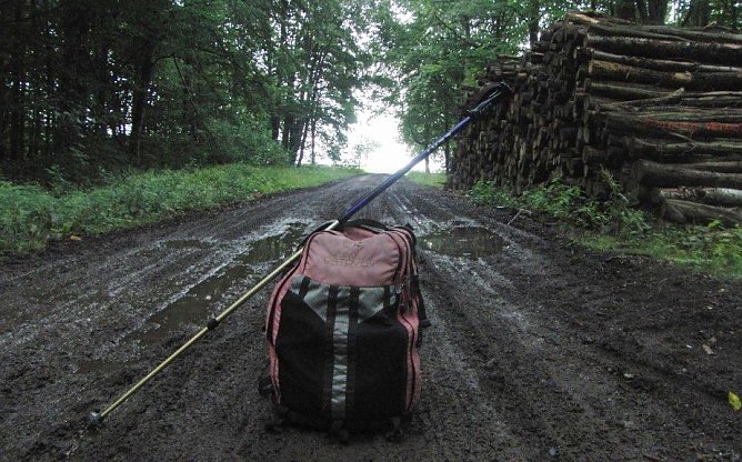 Hier ist der Harz zu Ende (Foto: B. Schwarzberg)