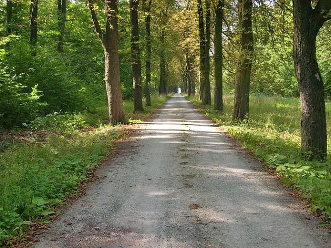 Beschissene Angelegenheit (Foto: Karl-Heinz Herrmann)