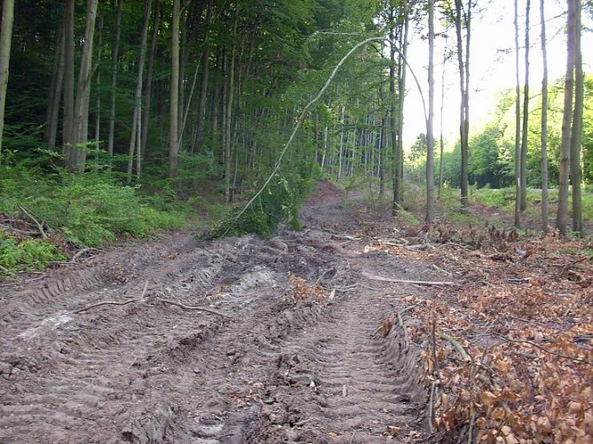 Verklappsung oder Unversch&auml;mtheit (Foto: Karl-Heinz Herrmann)
