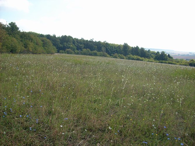 Tipp f&uuml;r Naturfreunde und Wanderer (Foto: Karl-Heinz Herrmann)