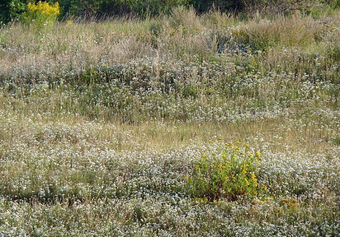 Tipp f&uuml;r Naturfreunde und Wanderer (Foto: Karl-Heinz Herrmann)