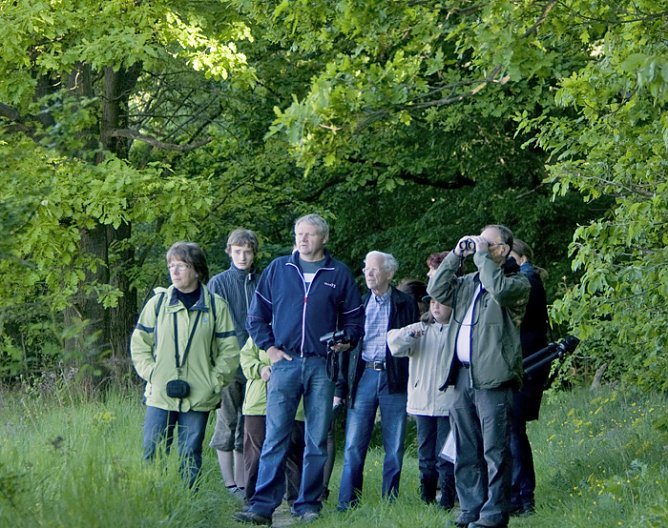 Durch Hohe Schrecke (Foto: Thomas Stephan)