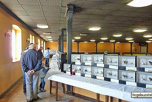 Große Geflügelausstellung (Foto: Karl-Heinz Herrmann) Große Geflügelausstellung (Foto: Karl-Heinz Herrmann)
