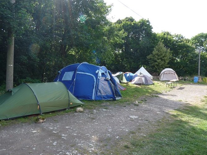 Patenschaft wird angestrebt (Foto: Karl-Heinz Herrmann) Patenschaft wird angestrebt (Foto: Karl-Heinz Herrmann)