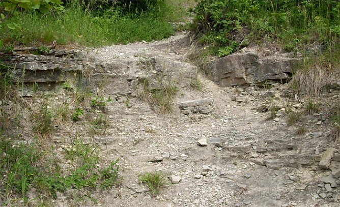 Wird schicker Weg (Foto: Karl-Heinz Herrmann) Wird schicker Weg (Foto: Karl-Heinz Herrmann)