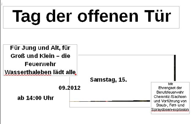 Erstmals Tore geöffnet (Foto: FFW Wasserthaleben) Erstmals Tore geöffnet (Foto: FFW Wasserthaleben)