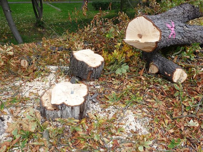 Keine Meldung warum! (Foto: Karl-Heinz Herrmann)
