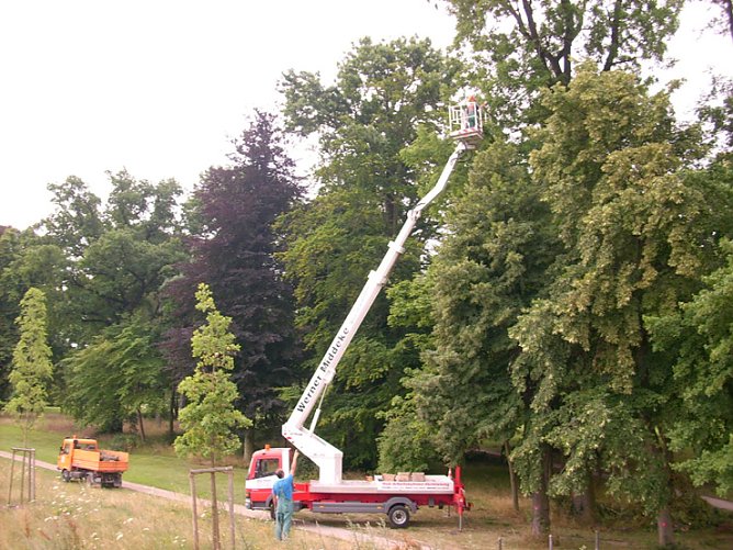 Baumpflege Schlosspark (Foto: Karl-Heinz Herrmann)