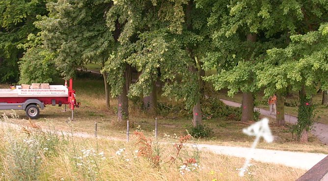 Baumpflege Schlosspark (Foto: Karl-Heinz Herrmann)