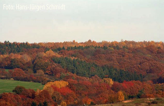 Bald ist es soweit (Foto: Hans-J&uuml;rgen Schmidt)