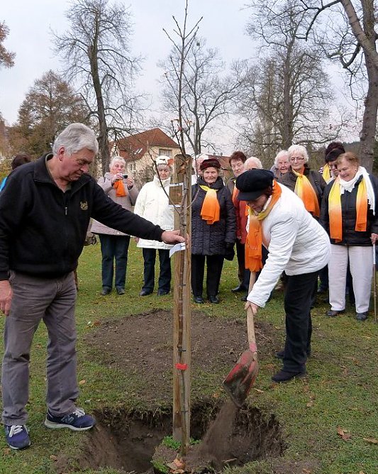 Zweiter Anlauf (Foto: privat) Zweiter Anlauf (Foto: privat)