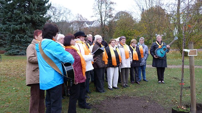 Zweiter Anlauf (Foto: privat) Zweiter Anlauf (Foto: privat)