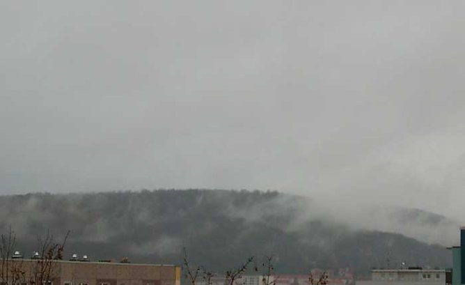 Wetter interessiert (Foto: privat)