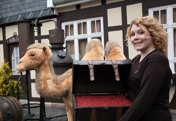 Neue Ausstellung wird vorbereitet (Foto: Tradi) Neue Ausstellung wird vorbereitet (Foto: Tradi)