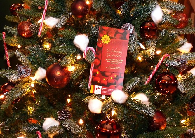 Kultur-Geschenk zu Weihnachten (Foto: B. Susemihl) Kultur-Geschenk zu Weihnachten (Foto: B. Susemihl)