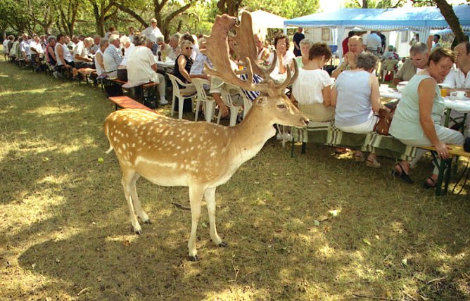 Alterskameraden Feuerwehrverband Sondershausen (Foto: G&uuml;nter Herting)