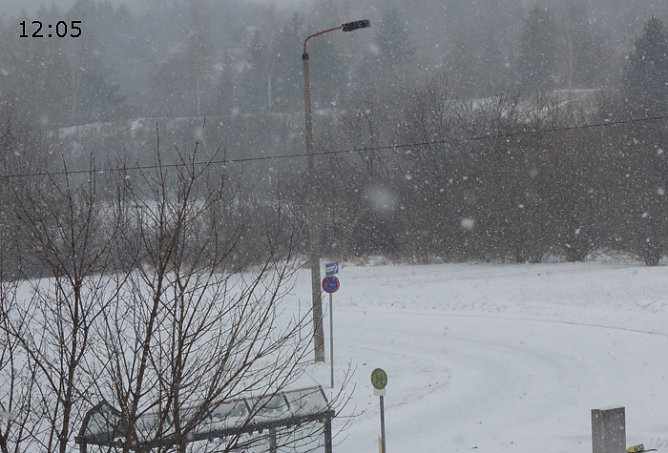 Wetter interessiert (Foto: Karl-Heinz Herrmann) Wetter interessiert (Foto: Karl-Heinz Herrmann)