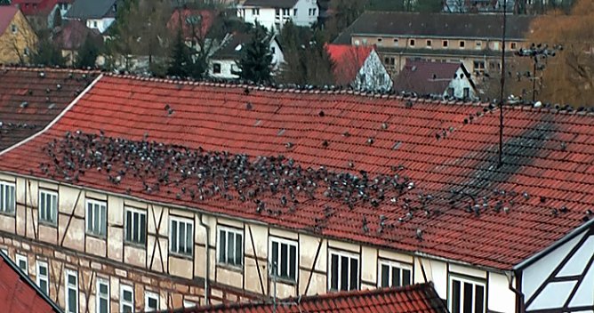 So etwas von voll! (Foto: Karl-Heinz Herrmann) So etwas von voll! (Foto: Karl-Heinz Herrmann)