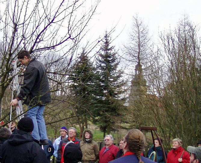 Baumschnittseminar (Foto: Kunsthof Friedrichsrode) Baumschnittseminar (Foto: Kunsthof Friedrichsrode)
