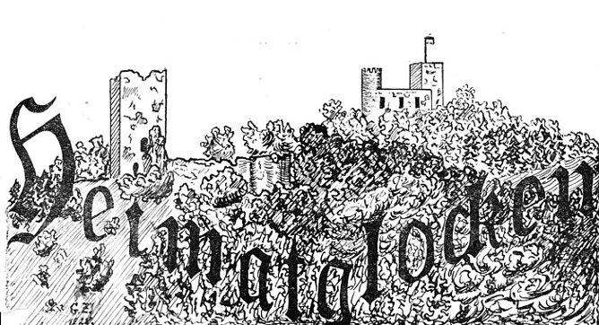 Verein mit digitaler Sammlung (Foto: Andreas Schm&ouml;lling)