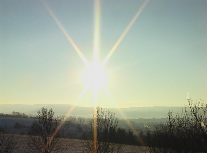 Es gibt sie noch! (Foto: Karl-Heinz Herrmann)