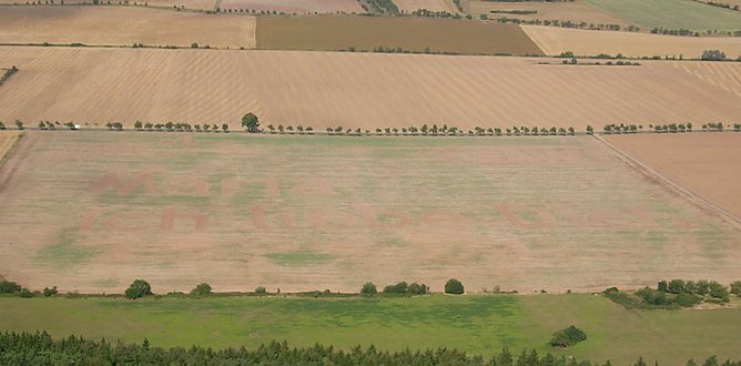 Bodenbild am Kyffh&auml;user (Foto: Karl-Heinz Herrmann)
