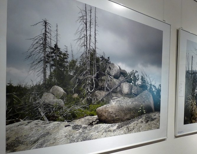 Auf mystischen Pfaden... (Foto: Karl-Heinz Herrmann)