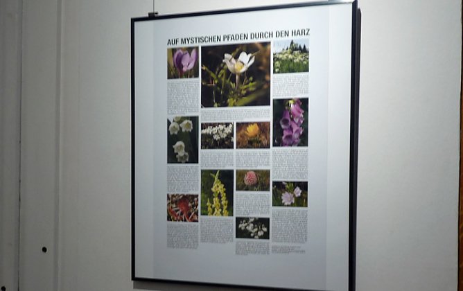 Auf mystischen Pfaden... (Foto: Karl-Heinz Herrmann)