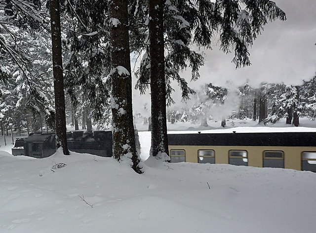 Huschbahn im Harz (Foto: Gerhard Kyff)