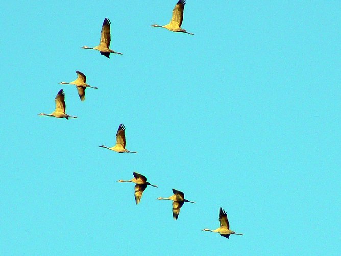 Auf dem Weg nach Norden (Foto: Rolf Jürgens) Auf dem Weg nach Norden (Foto: Rolf Jürgens)