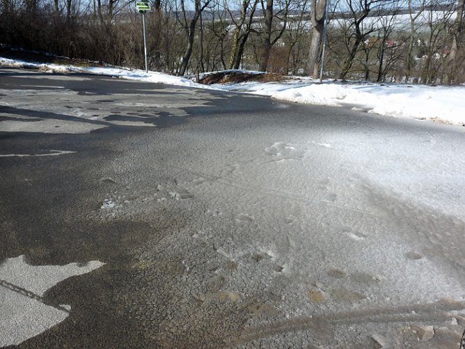 Vorsicht geboten! (Foto: Karl-Heinz Herrmann)
