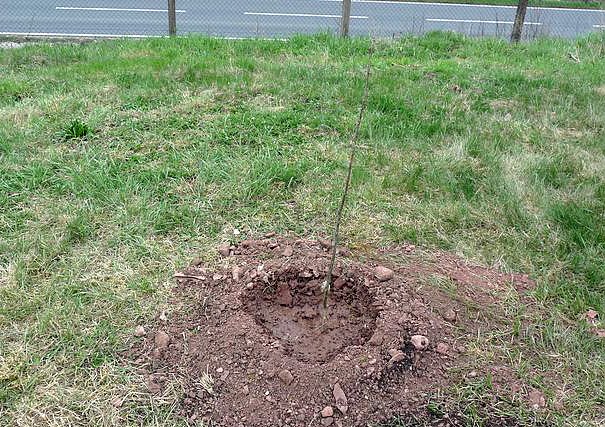 Mimengruppe aktiv (Foto: kn/DRK)