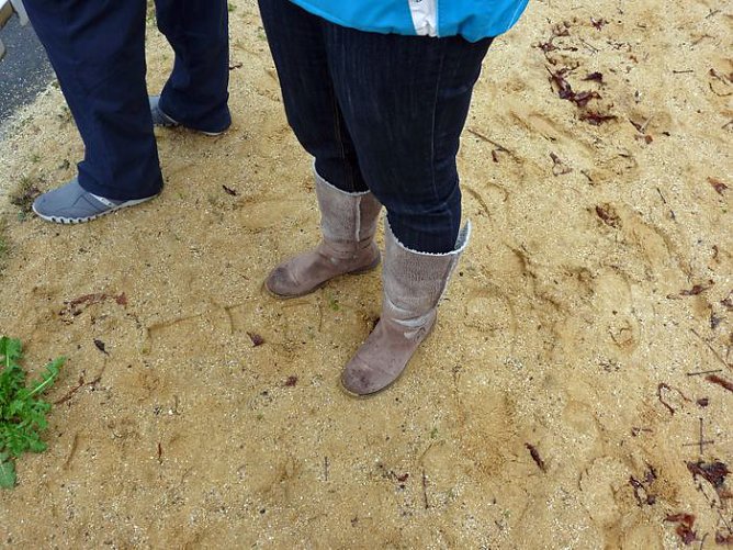 Warmes Anbaden? (Foto: Karl-Heinz Herrmann) Warmes Anbaden? (Foto: Karl-Heinz Herrmann)