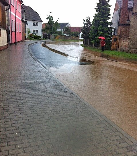 Schrecken in Seehausen (Foto: Kerstin Axthelm) Schrecken in Seehausen (Foto: Kerstin Axthelm)
