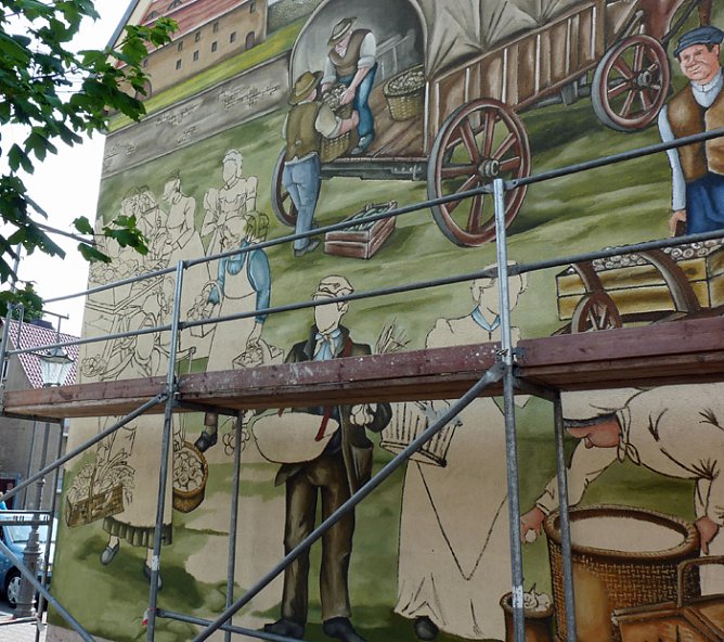 Der Hingucker (Foto: Karl-Heinz Herrmann) Der Hingucker (Foto: Karl-Heinz Herrmann)