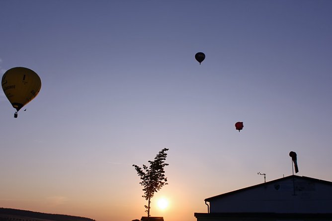 Der Sonne entgegen (Foto: Marion Haas) Der Sonne entgegen (Foto: Marion Haas)