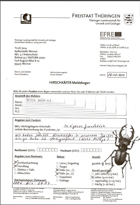 Hirschkäfer gefunden (Foto: Peter Möbius) Hirschkäfer gefunden (Foto: Peter Möbius)