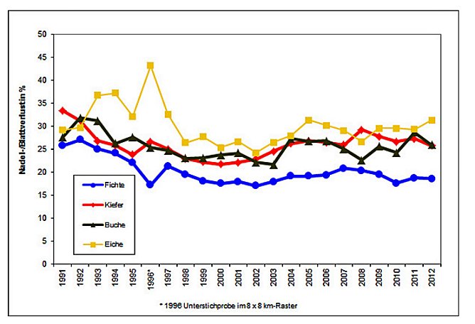 Waldschadenserhebung (Foto: Hans-Jürgen Schmidt) Waldschadenserhebung (Foto: Hans-Jürgen Schmidt)