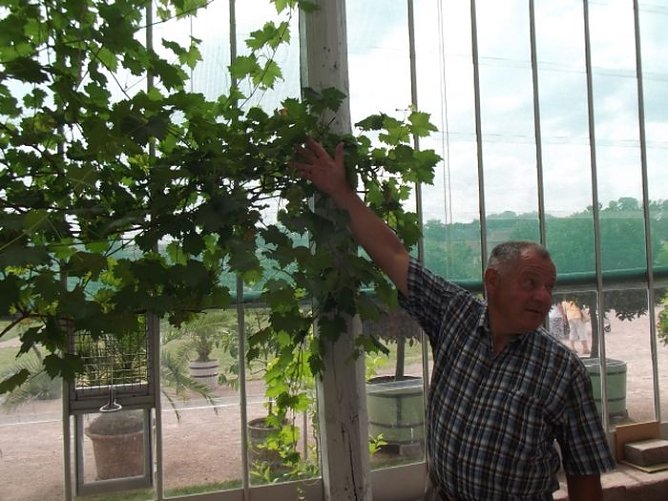 Seniorenausflug ins Land, ... (Foto: Thomas Leipold)