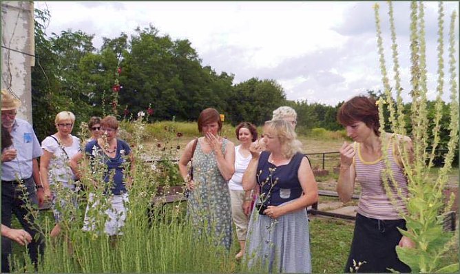 Weltenkl&auml;nge (Foto: G&uuml;nther F. Chmielus Gesellschaft der Freunde der Klosterruine St. Wigbert G&ouml;llingen e.V.)