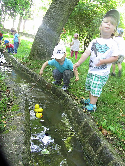 Enten schwimmen (Foto: Kindervilla Bad Frankenhausen)