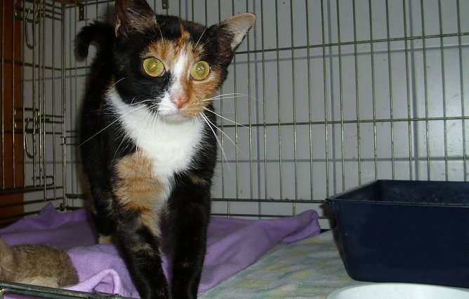 Anja (Foto: C. Knust)