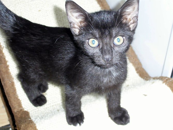 Hilla (Foto: C. Knust) Hilla (Foto: C. Knust)